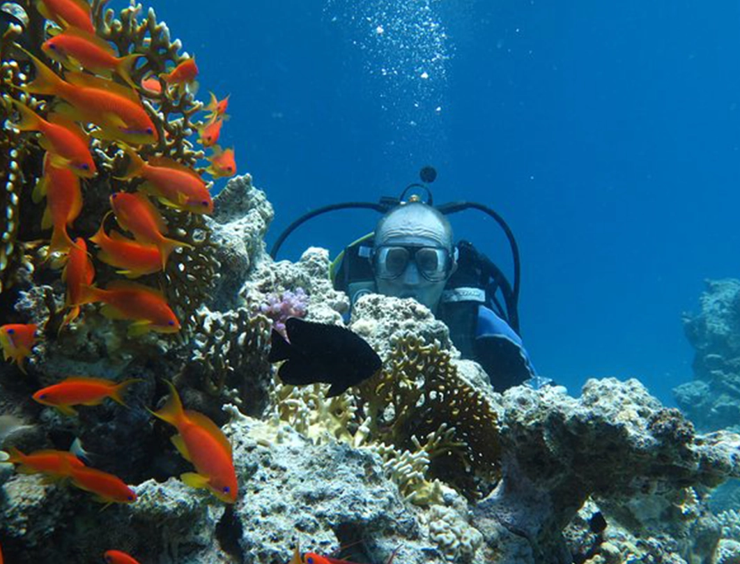 Diving in Hurghada - photo