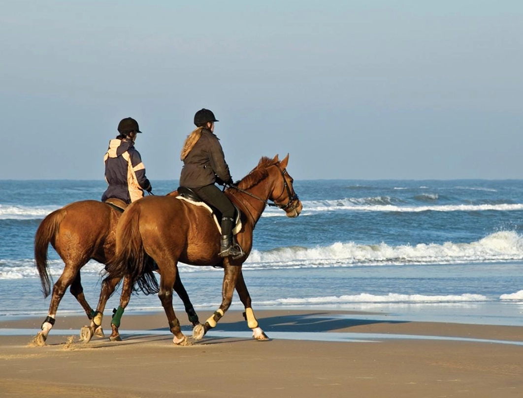 Horse Ride in Hurghada  - photo