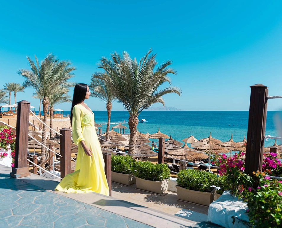 Sharm El-Sheikh  - photo
