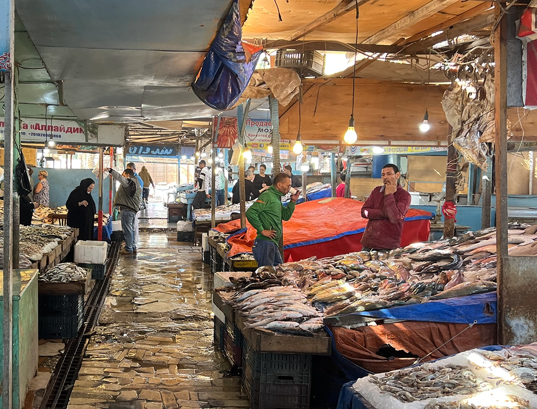 Hurghada City Tour  - more photos